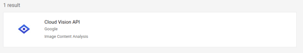 Cloud Vision - Cloud Vision API search result