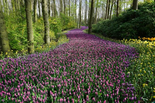 Creating an MCP Client with Spring AI